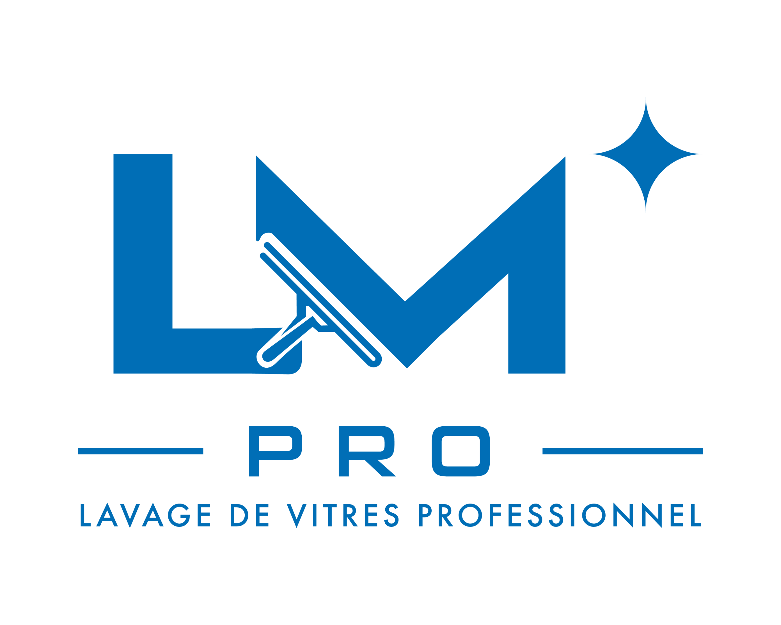 LM_Pro_Logo_FR_Blue2_1